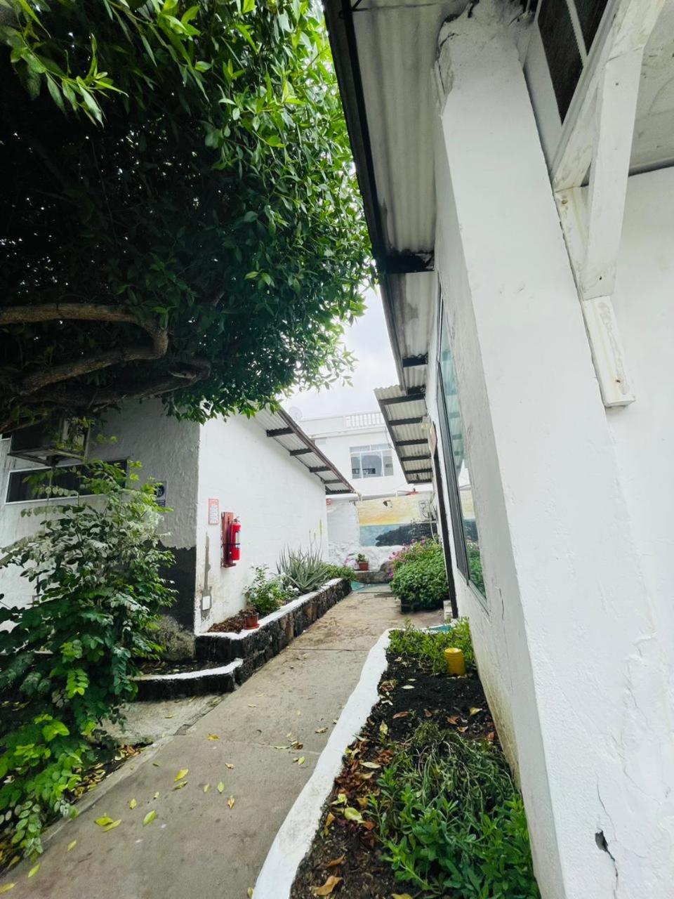 Hostal Darwin Puerto Ayora  Exterior foto
